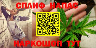 шишки Обнинск