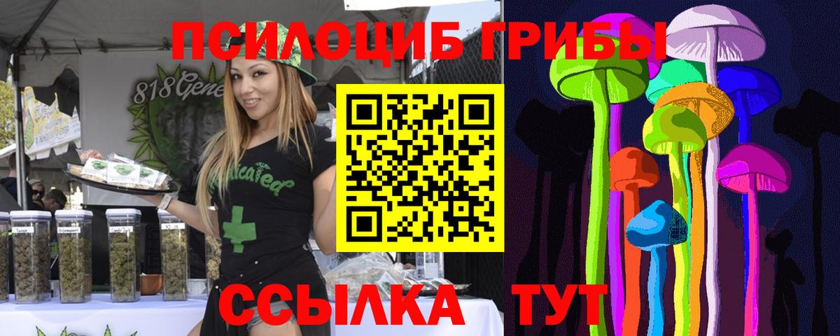 Галлюциногенные грибы Magic Shrooms  Вход с VPN  Сосновый Бор  Псилоцибиновые грибы прущие грибы 